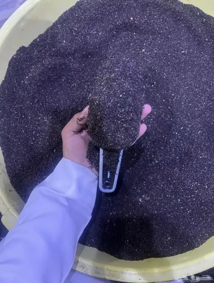 جاذب خلايا النحل مجرب ومضمون 1