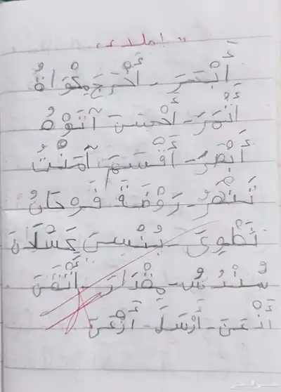 معلمه خصوصيه مصريه متواجده في الدمام 5