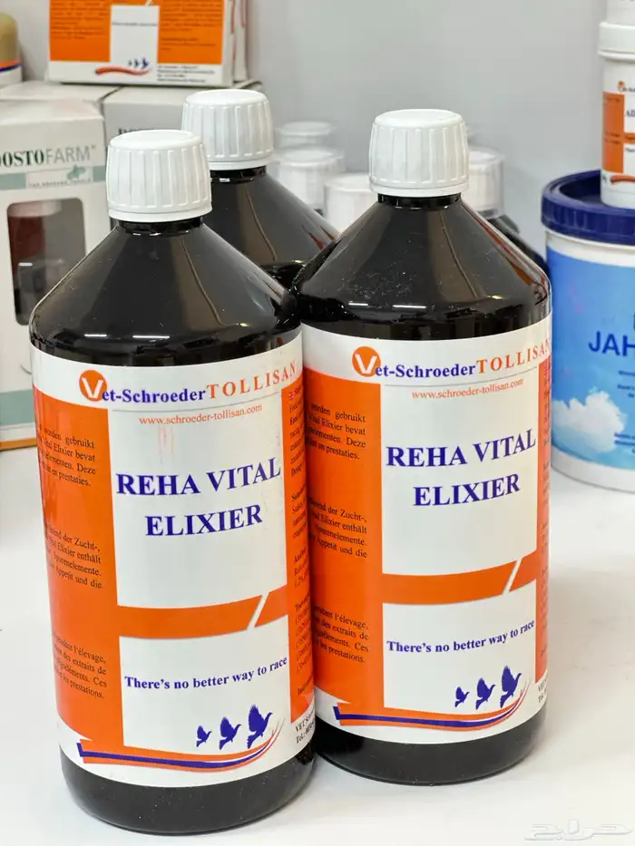 مكمل غذائي وصفه سرية من مربي الحمام البلجيكي 2