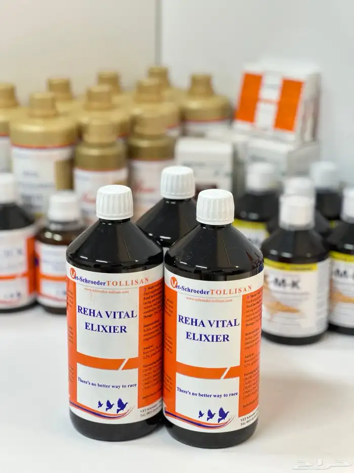 مكمل غذائي وصفه سرية من مربي الحمام البلجيكي 3