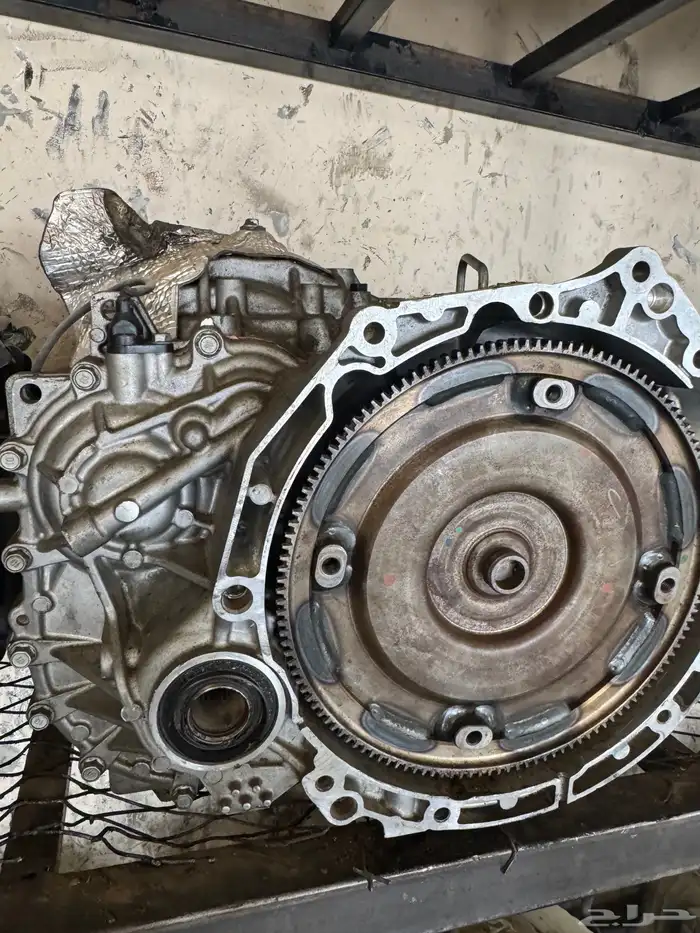 قيرات ياباني امريكي كوري 3