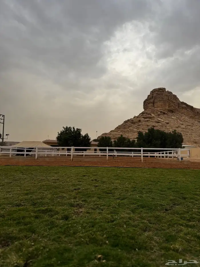 ايواء خيل بالرياض قريب ديراب 3