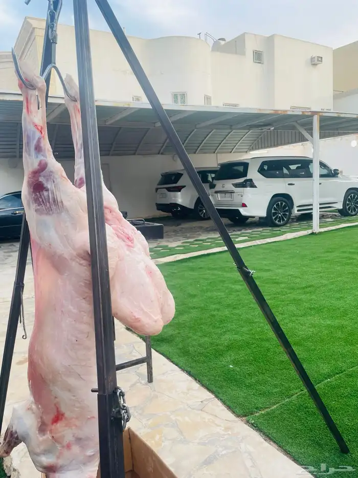 معلم مشويات 1