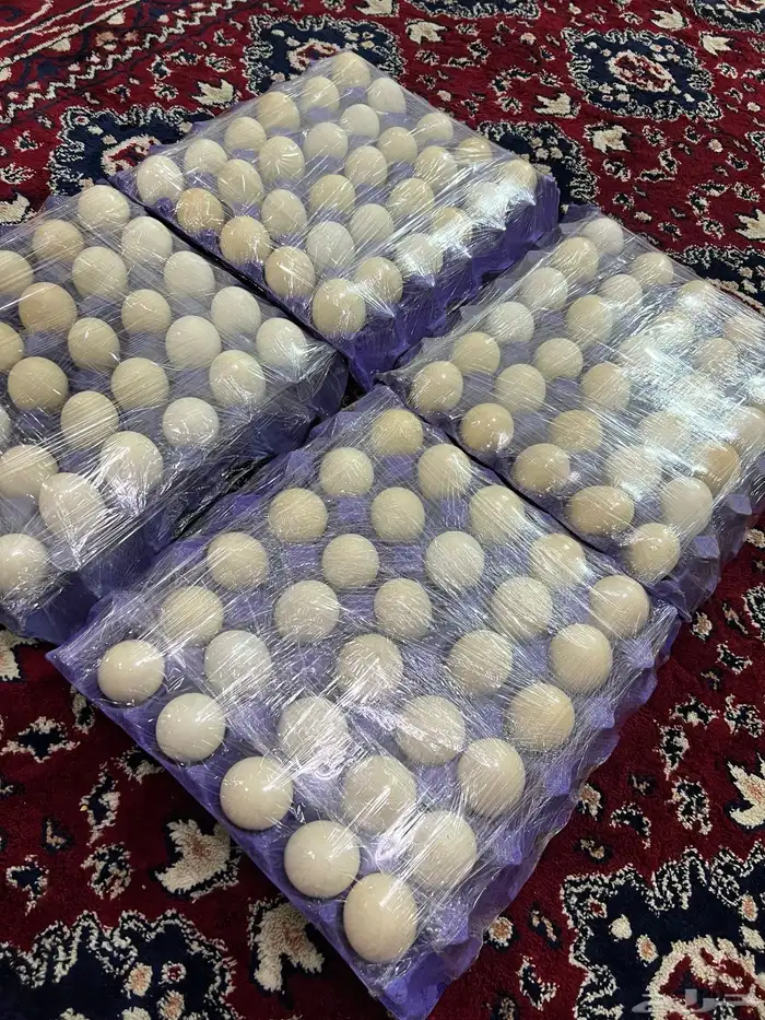 بيض بلدي طازج 3