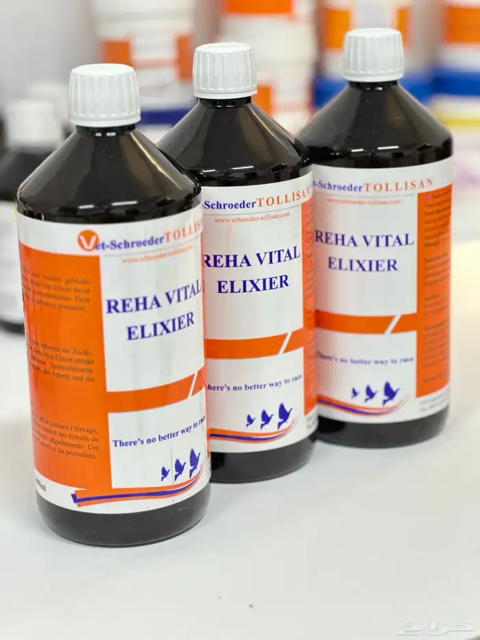 مكمل غذائي وصفه سرية من مربي الحمام البلجيكي 1