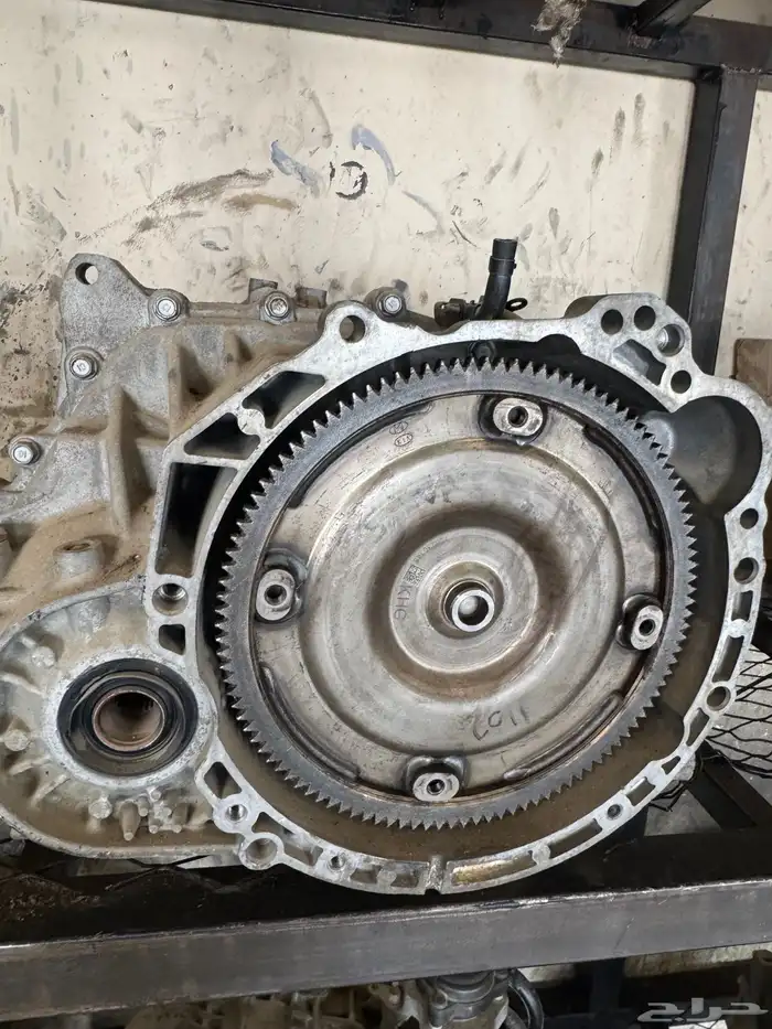 قيرات ياباني امريكي كوري 2