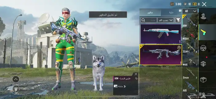حساب ببجي 34