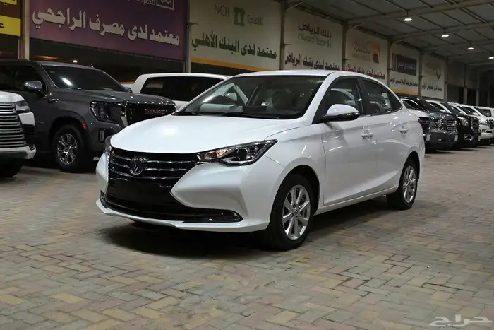 شانجان السيفن فل 2025 2
