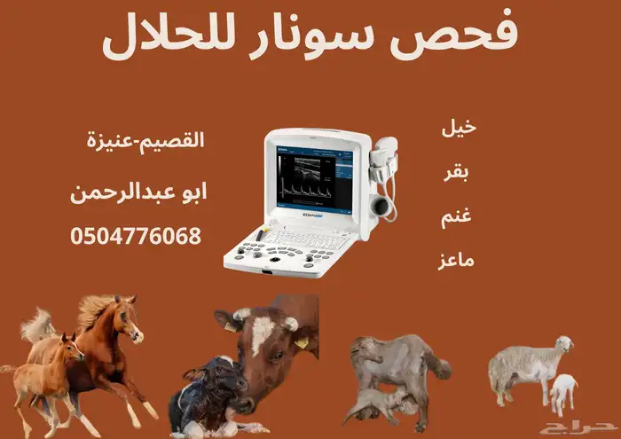 فحص سونار القصيم عنيزة خيل بقر غنم ماعز 0