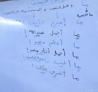 معلمه خصوصيه مصريه متواجده في الدمام 4
