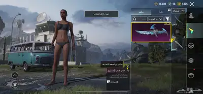 حساب ببجي للبيع 48