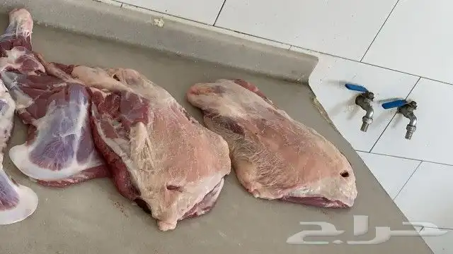 ذبايح مرابي عسير 12