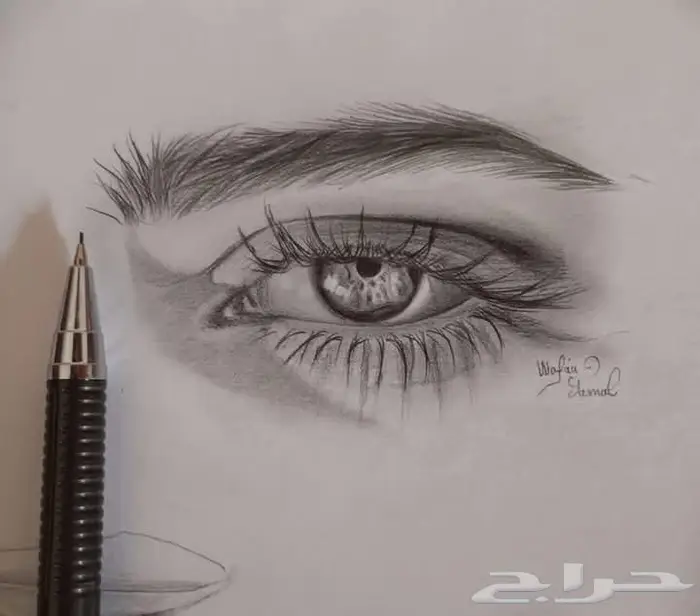 دروس رسم وخط بأفضل سعر 8