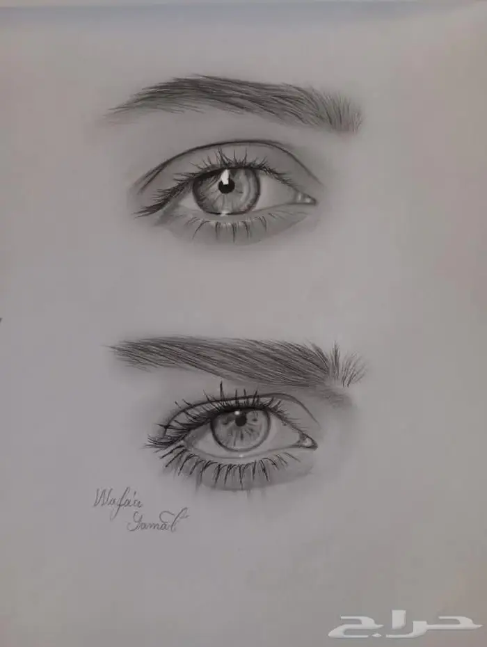دروس رسم وخط بأفضل سعر 1