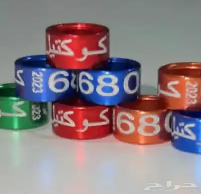 حجول قميري وحمام 2