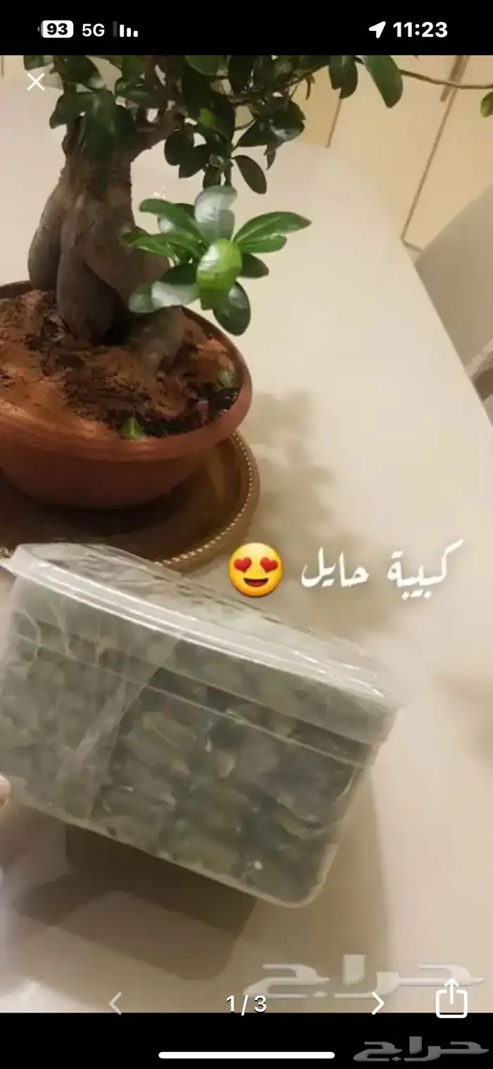 كبيبة حايل المنزليه 0