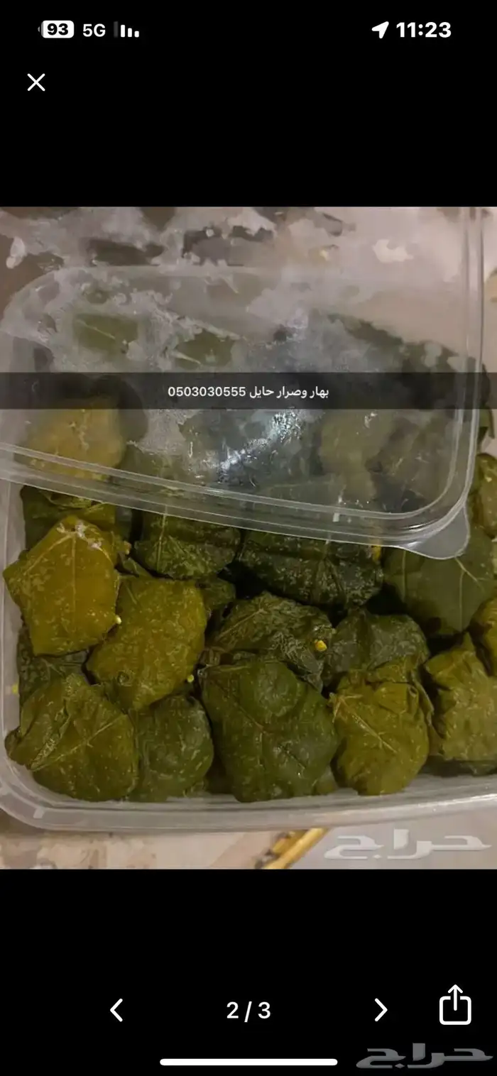 كبيبة حايل المنزليه 1