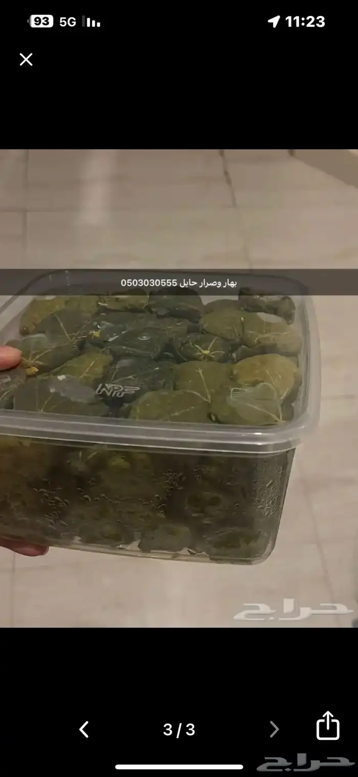 كبيبة حايل المنزليه 2