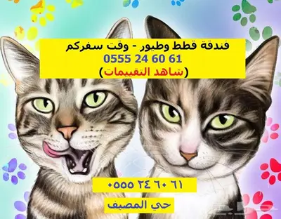 فندقة قطط 6061 24 0555 شرق الرياض وقت اجازتك 0