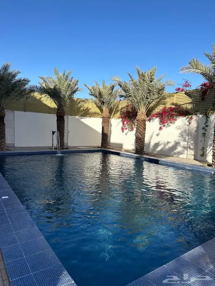 استراحة للإيجار اليومي و السنوي العماريه ربوع العماريه 25