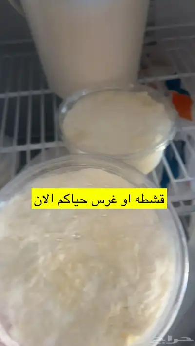 اجان البان خاثر زبده سمن مقدوس نوعين لبن 29