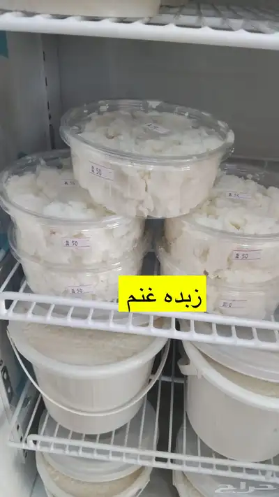 اجان البان خاثر زبده سمن مقدوس نوعين لبن 19