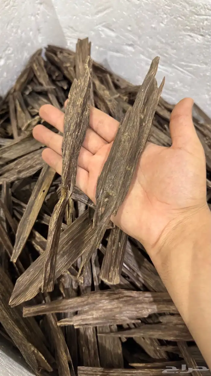 عود هندي نجلاند طبيعي 5