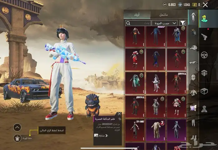 حساب ببجي فخم 3