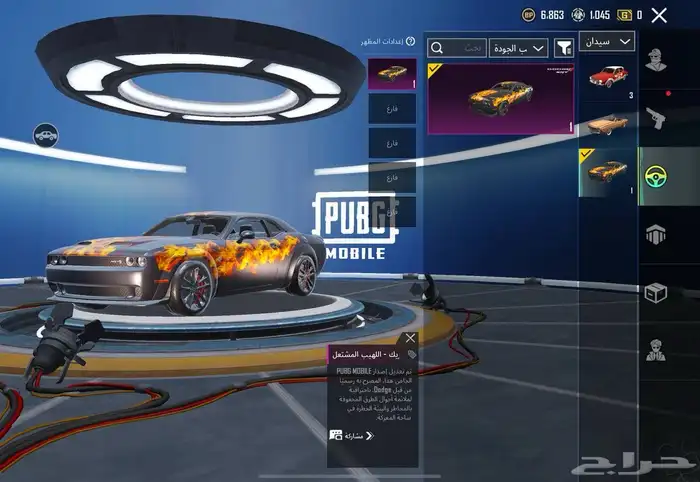 حساب ببجي فخم 12