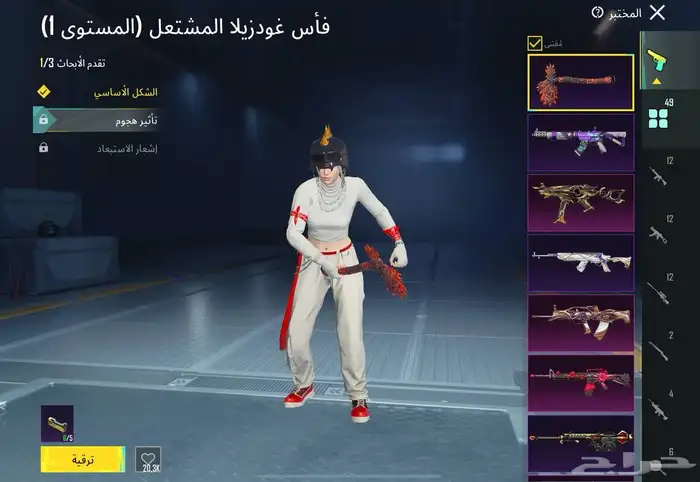 حساب ببجي فخم 17