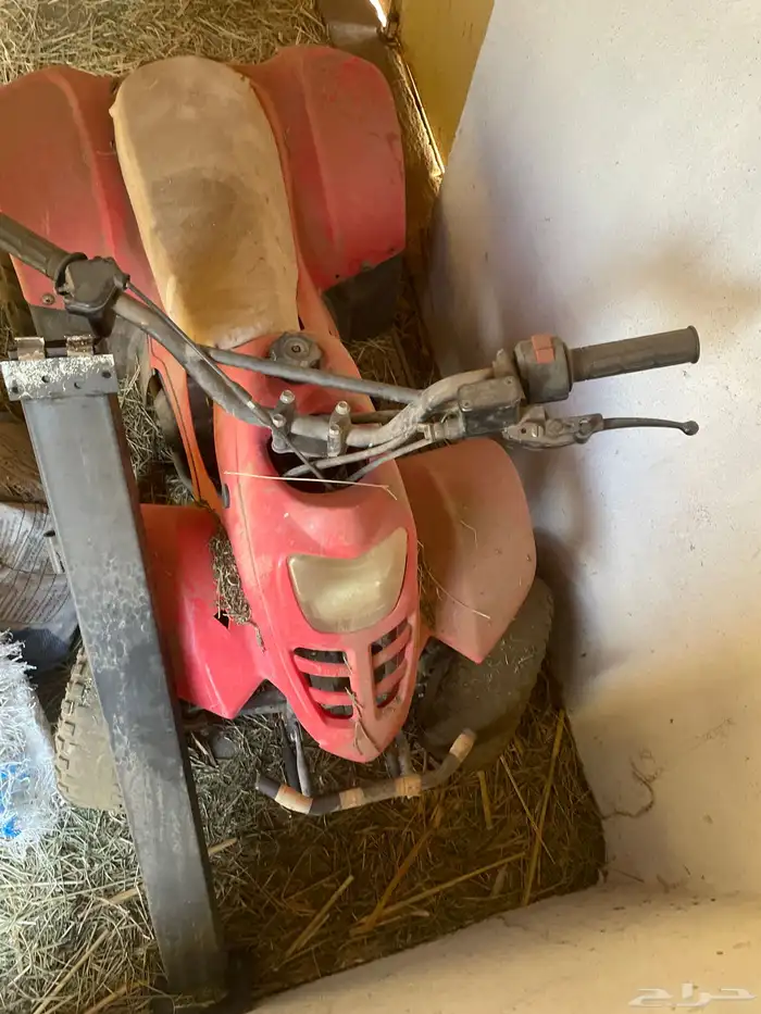 دباب للبيع 1