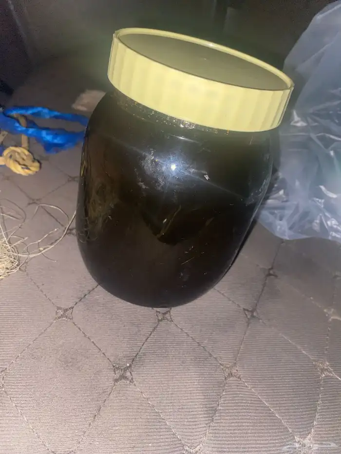 عسل طلح للبيع 0