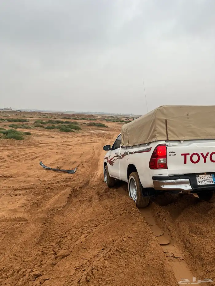 نقل طيور 0