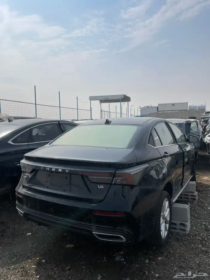 شيري اريزو6 2020 4