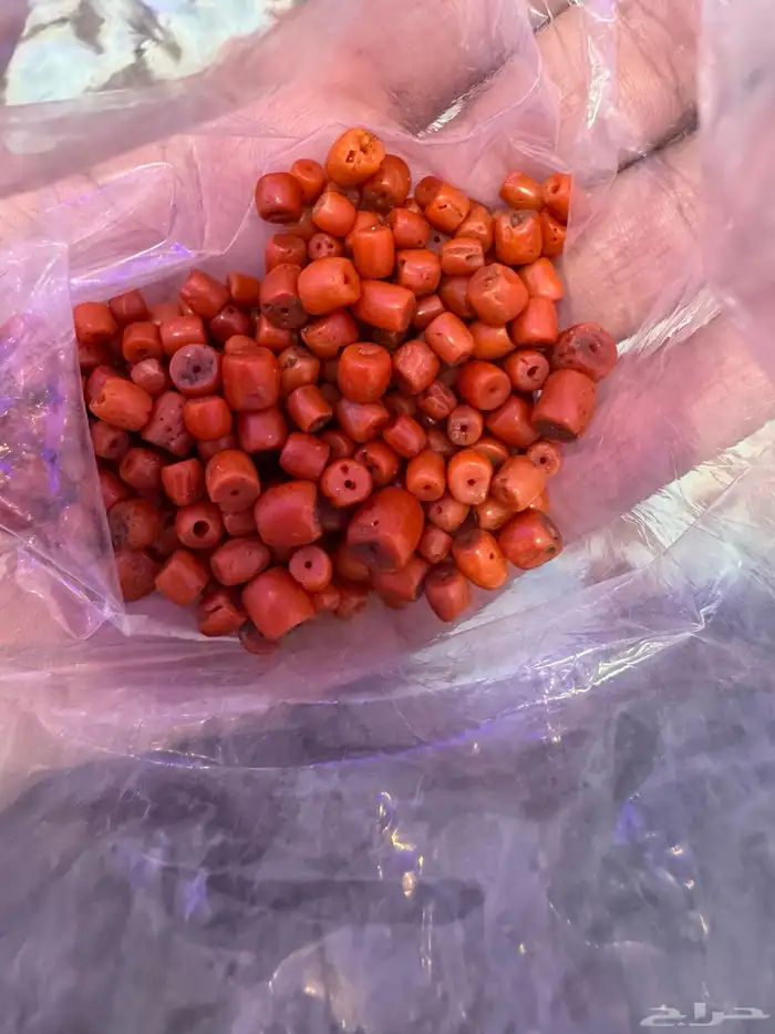 مرجان احمر 1