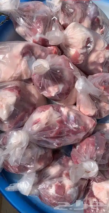 ذبايح الرس 4