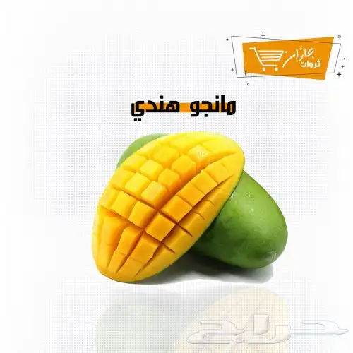 أجود أنواع المانجو من مزارع جازان 1