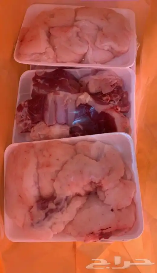 ذبايح الرس 5