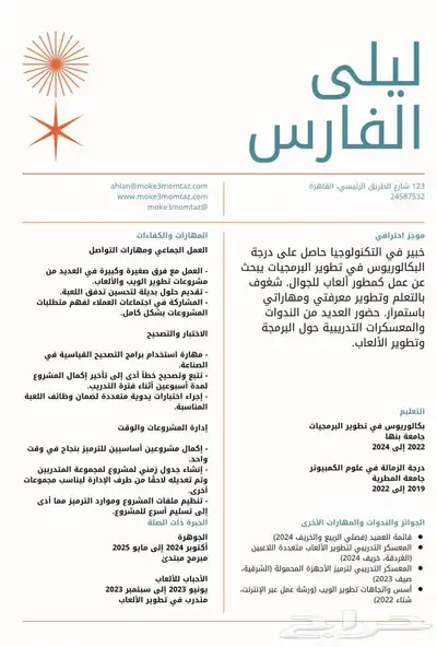 سيرة ذاتية احترافية بصيغة ATS 4