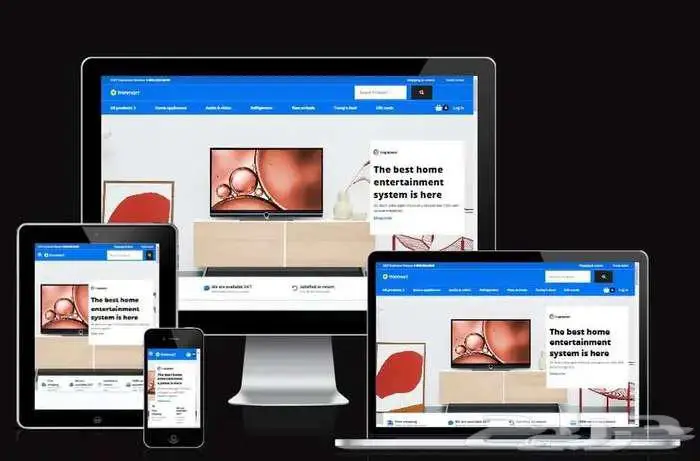 تصميم وبرمجة مواقع إلكترونية وصفحات هبوط 8