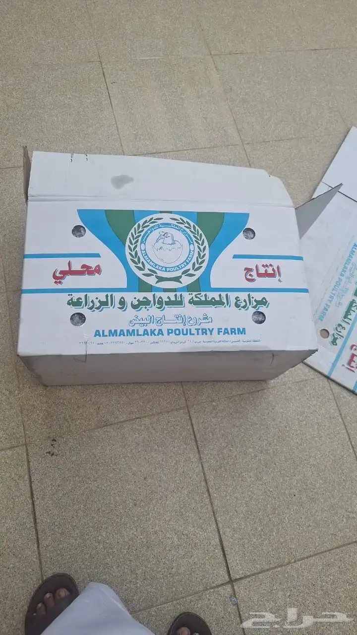 كرتين بيض للبيع فيه كبير وسط وصغير 6