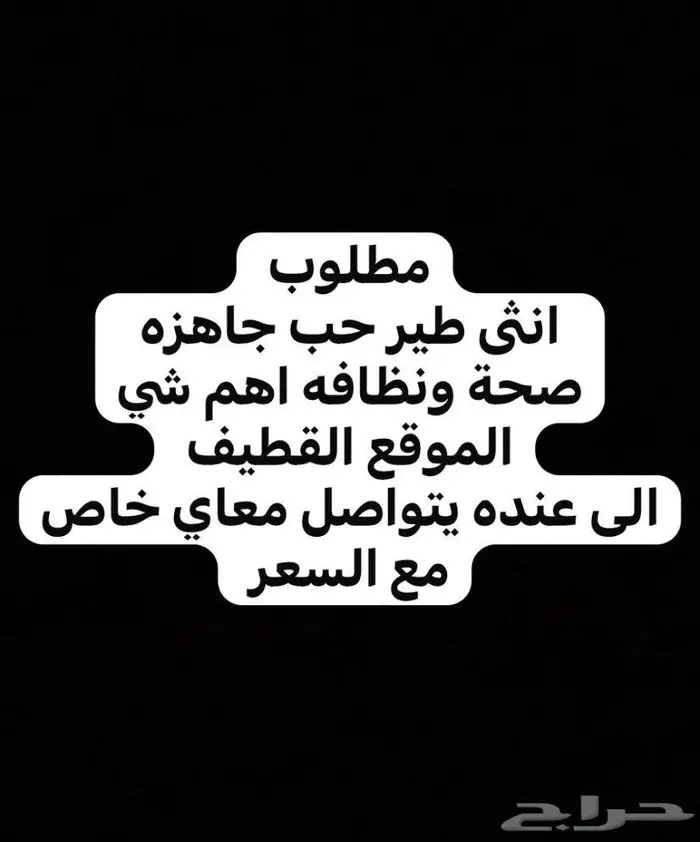 القطيف 0