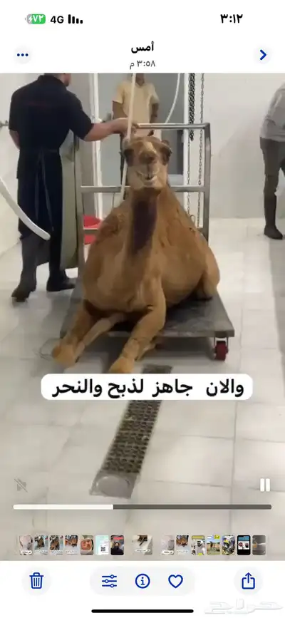 مركزرواد تهامه ليسة الوحيده فلاكن يشهدالله أنها افضل الملاحم 28