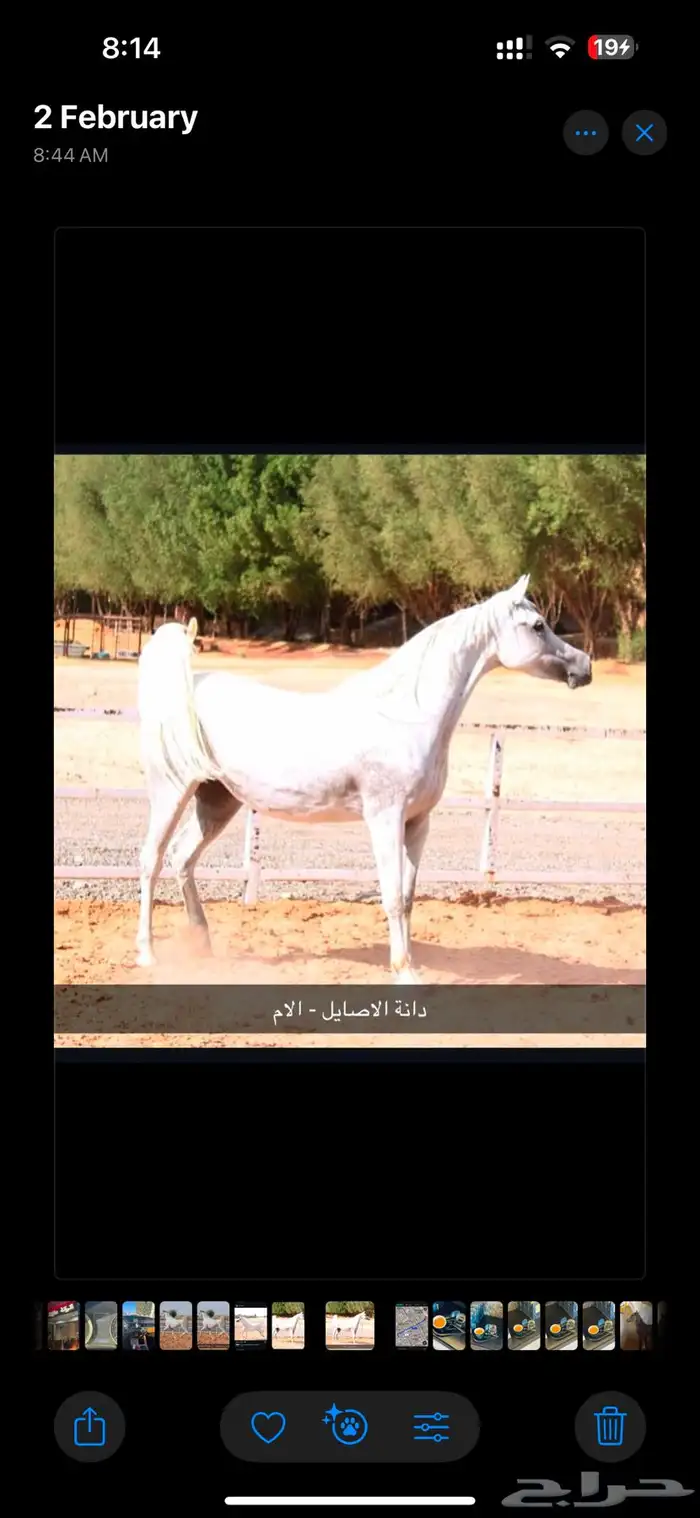 مهره واهو 3