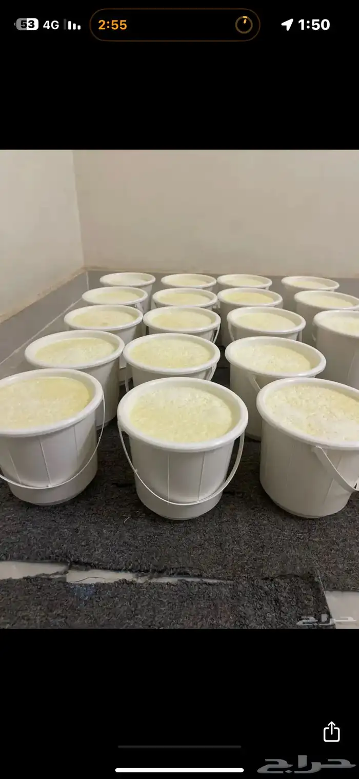 خاثر غنم (روب ) 1