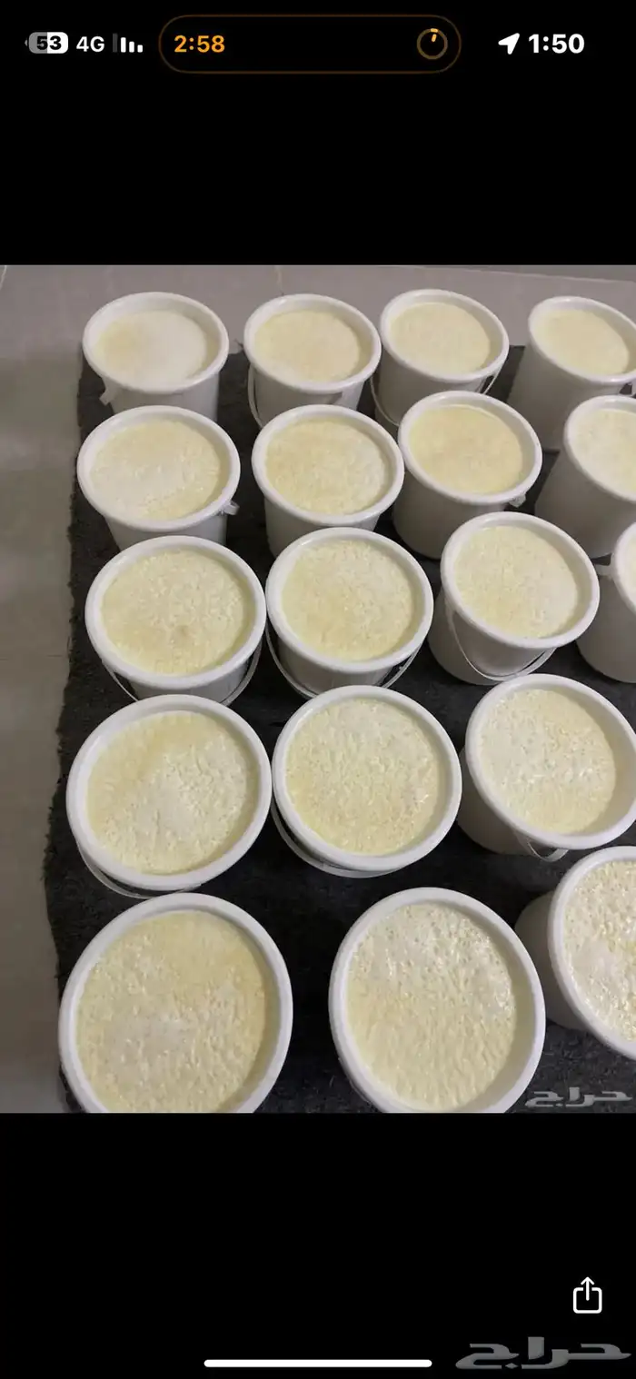 خاثر غنم (روب ) 2