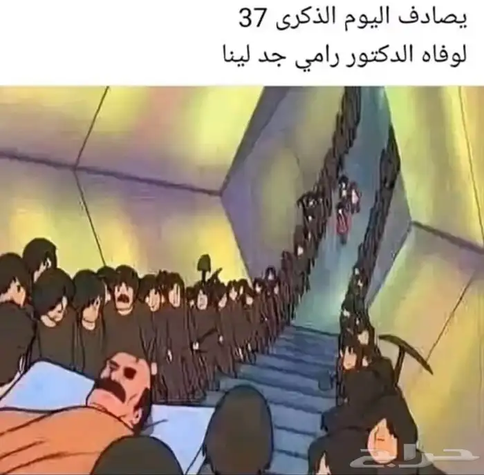 ابا حيوان أليف او طير للتبني مدة 20 يوم و أرجعه 0