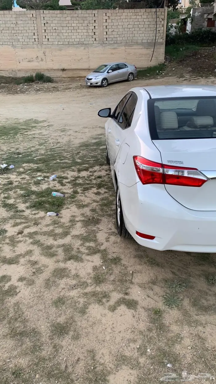 كورلا 2016 الون ابيض 8