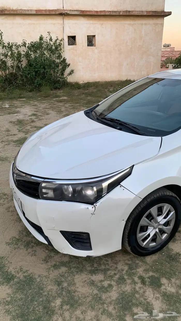 كورلا 2016 الون ابيض 10