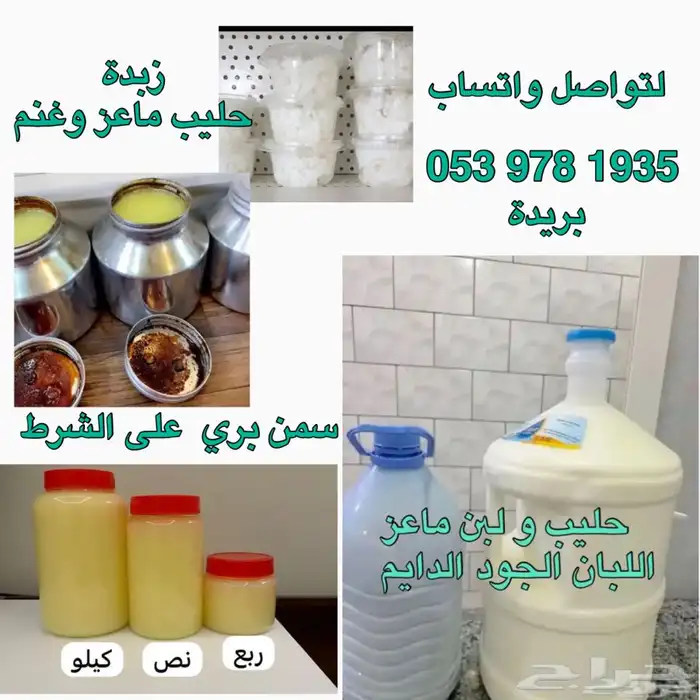 حليب و لبن ماعز غنم رعي بري (ربيع) سمن و زبدة طازج يوميا 0
